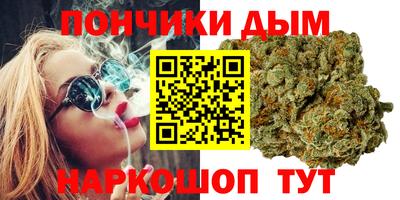 стаф Моздок
