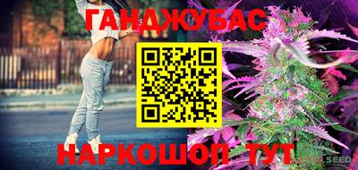 стаф Моздок