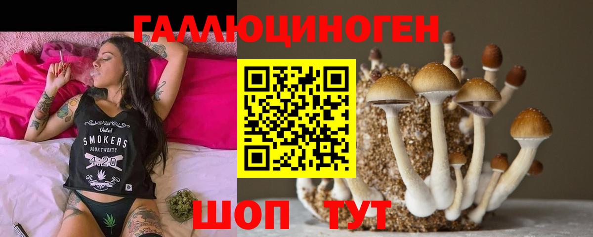 Псилоцибиновые грибы мицелий Улан-Удэ
